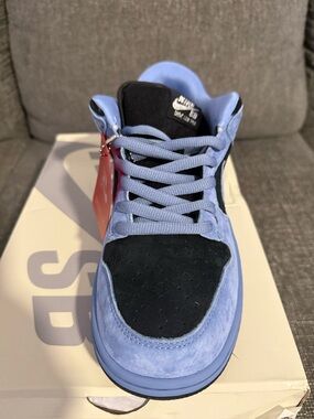 Nike Light Blue and Black Skate Sneaker